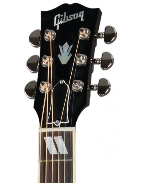 GIBSON HUMMINGBIRD STANDARD VS
