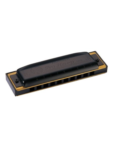 HOHNER PRO HARP 562/20 B (SI)