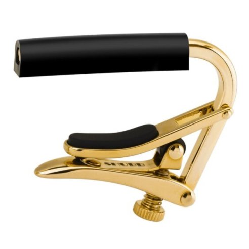 SHUBB C1G CAPO GOLD FOLK