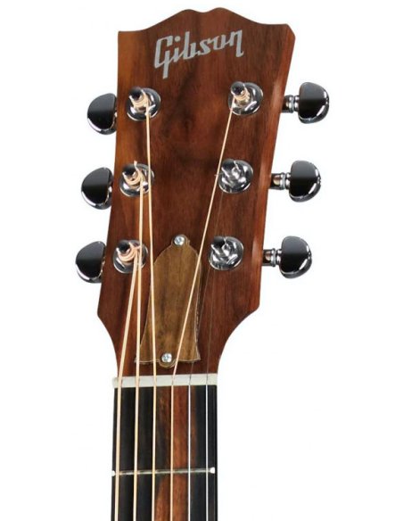 GIBSON G-45