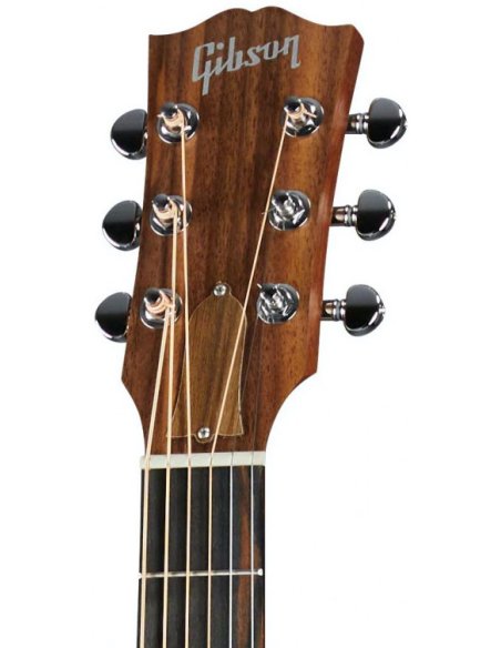 GIBSON G-200 EC