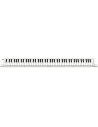 BLACKSTAR CARRY ON 88 WHITE KIT