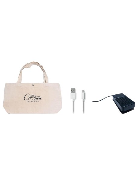 BLACKSTAR CARRY ON 88 WHITE KIT
