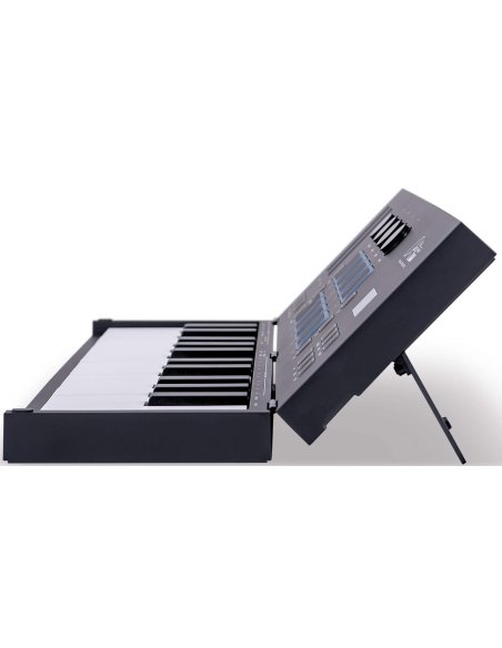 BLACKSTAR CARRY ON FOLDING C 25