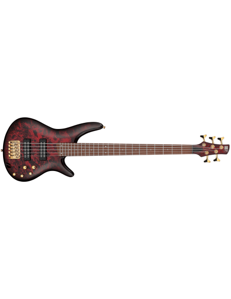 IBANEZ SR305EDX-WZM