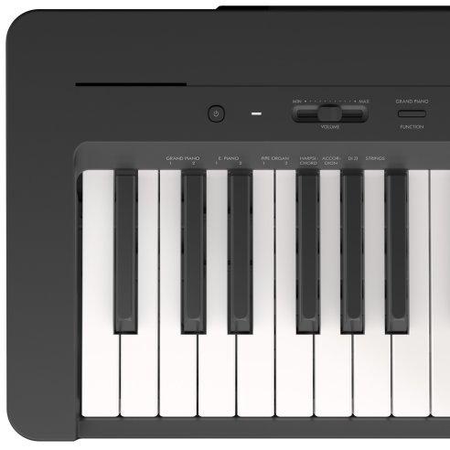 YAMAHA P145B