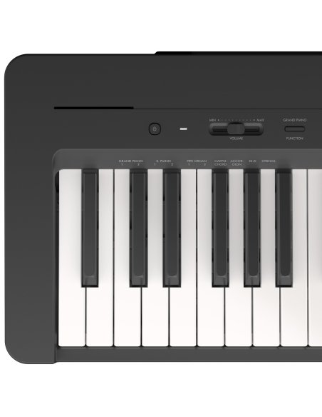YAMAHA P145B
