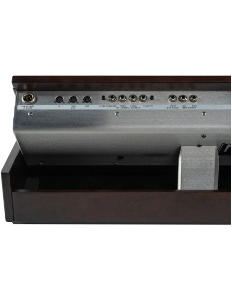 MOOG MINIMOOG MODEL D 2022 EDITION