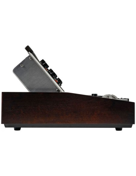 MOOG MINIMOOG MODEL D 2022 EDITION