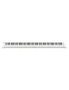 BLACKSTAR CARRY ON PIANO 88 TOUCH WHITE