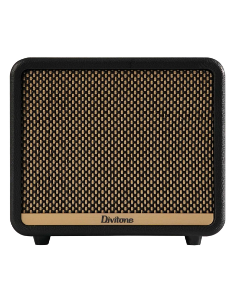 DIVITONE DAM-10BK DIGITAL AMP