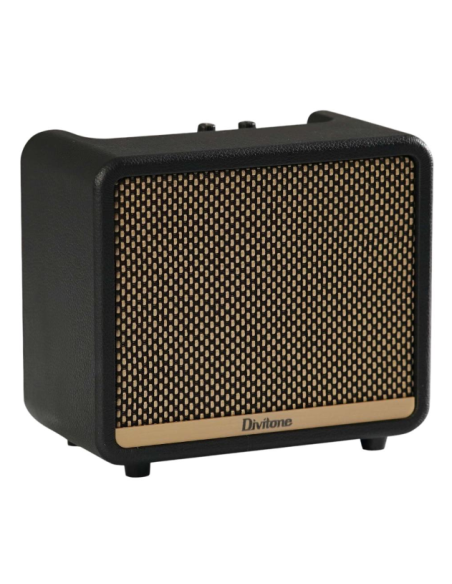 DIVITONE DAM-10BK DIGITAL AMP