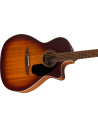 FENDER NEWPORTER SPECIAL HSB W/BAG