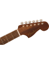 FENDER REDONDO SPECIAL HSB W/BAG