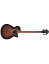 IBANEZ AEGB24E-MHS