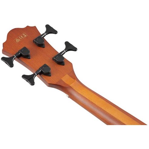 IBANEZ AEGB24E-MHS