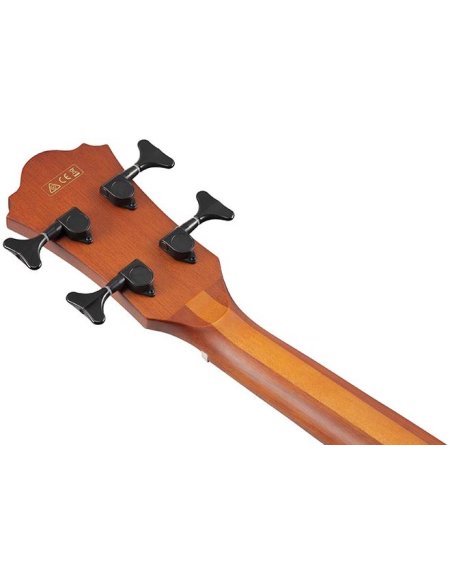IBANEZ AEGB24E-MHS
