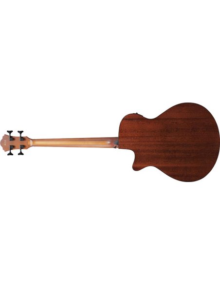 IBANEZ AEGB24E-MHS