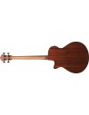 IBANEZ AEGB24E-MHS