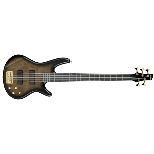 IBANEZ GSR205PC-TPB