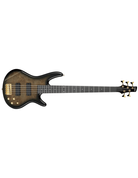 IBANEZ GSR205PC-TPB