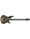 IBANEZ GSR205PC-TPB
