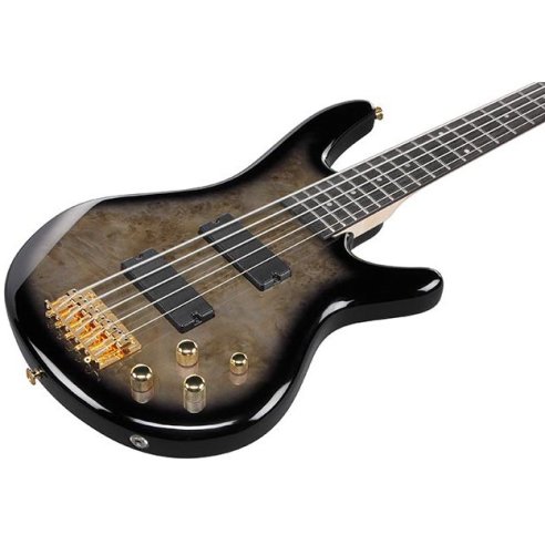IBANEZ GSR205PC-TPB