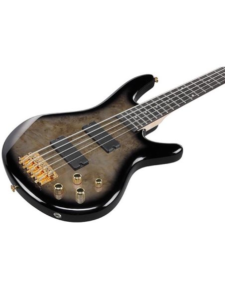 IBANEZ GSR205PC-TPB
