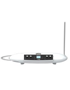 MOOG THEREMINI