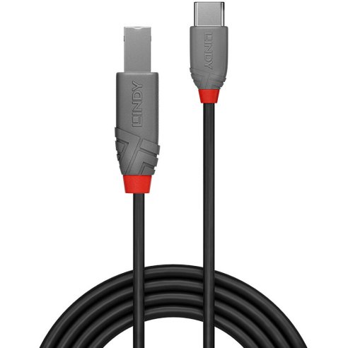 LINDY CAVO USB 2.0 C-B ANTHRA 2 MT