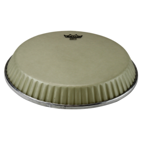 REMO M2-1175-N6-D2 NUSKIN PER CONGA 11 3/4