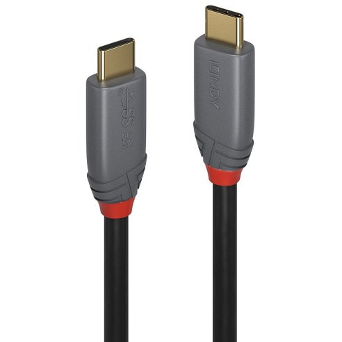 LINDY CAVO USB 3.2 5A 2 MT