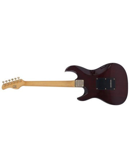 LARRY CARLTON S10 SSS TS