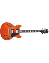 IBANEZ AS73-TTF