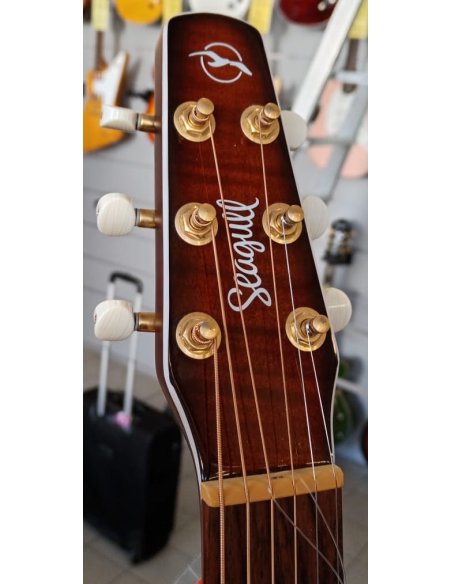 SEAGULL PERFORMER CW CH BURNT UMBER QIT