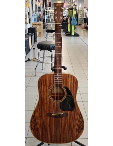 IBANEZ PF80V