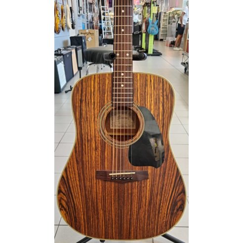 IBANEZ PF80V