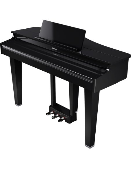 ROLAND GP-3