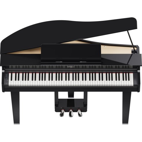ROLAND GP-3