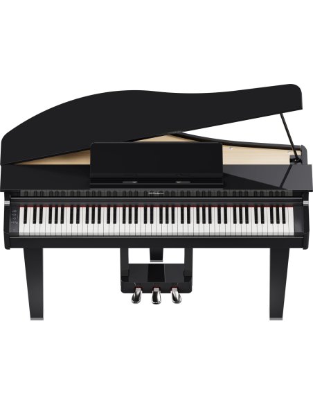 ROLAND GP-3