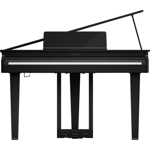 ROLAND GP-3