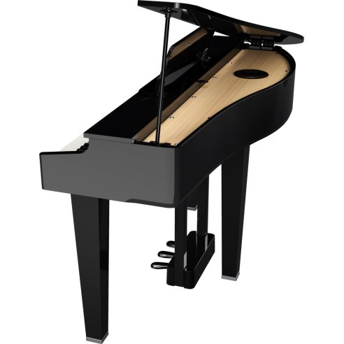 ROLAND GP-3