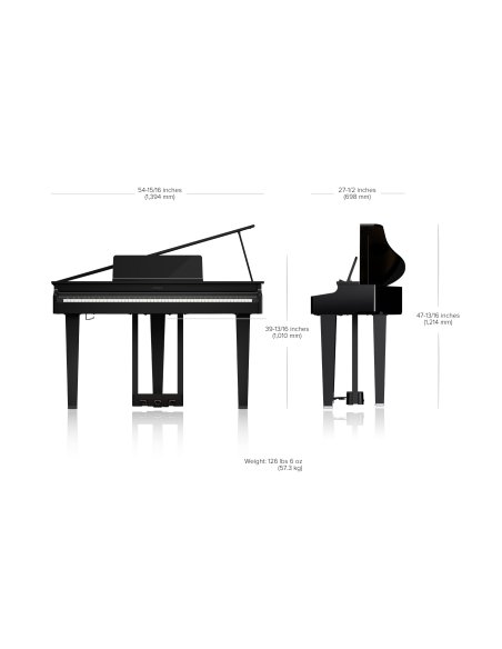 ROLAND GP-3