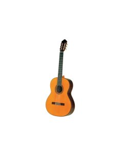 Esteve Mod.8 (Top Abete) Chitarra Classica
