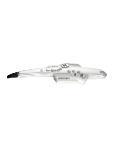 ROLAND AE-10 AEROPHONE