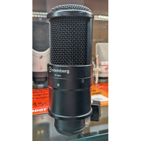 STEINBERG ST-M01