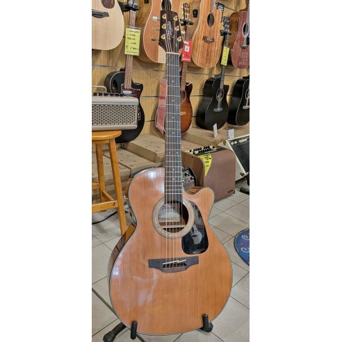 TAKAMINE GSN3CE-NG