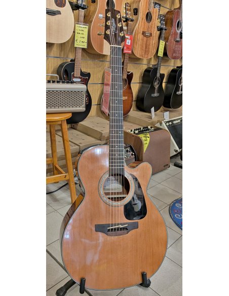 TAKAMINE GSN3CE-NG
