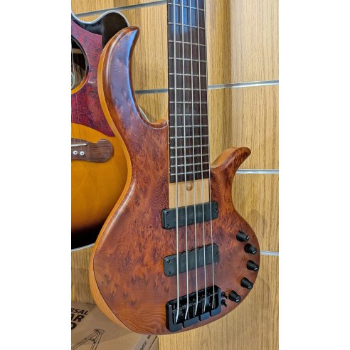 ELRICK EBB05 GOLD EVOLUTION