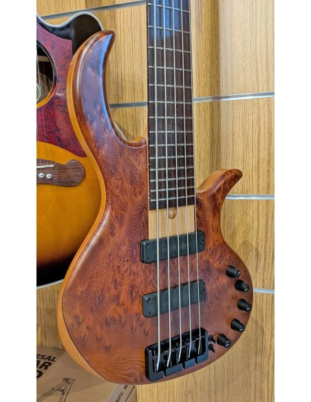 ELRICK EBB05 GOLD EVOLUTION